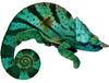 Аватар для xameleon