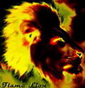   Flame Lion